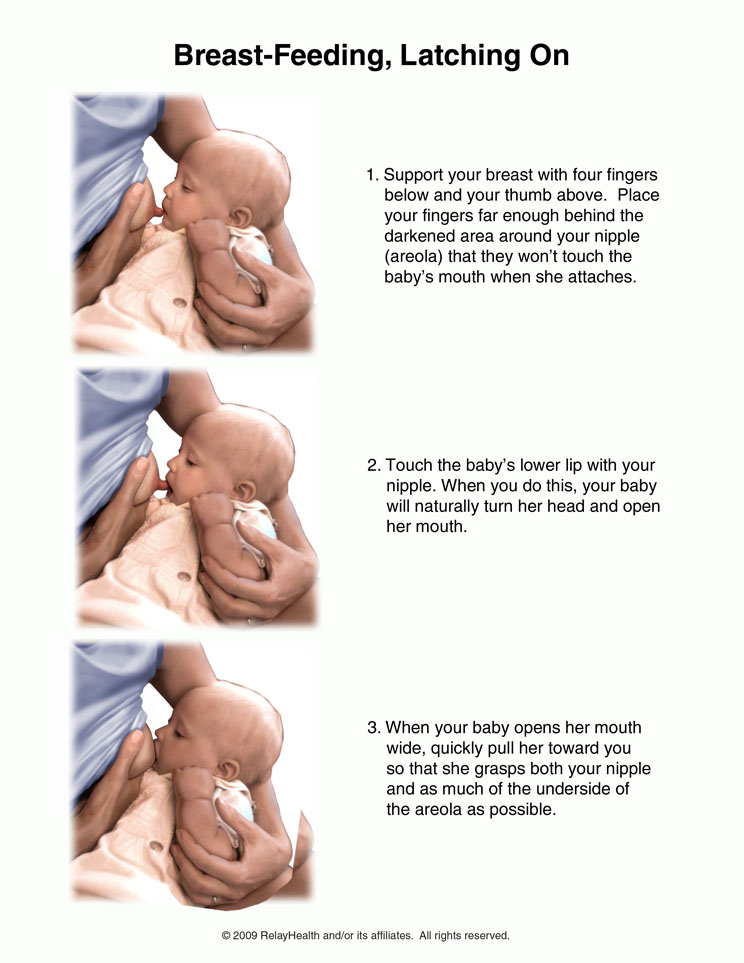 Breast-Feeding, Latching on: Illustration