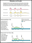 Thumbnail image of: Diabetes and Insulin: Illustration