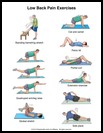 Thumbnail image of: Low Back Pain Exercises: Illustration